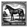 Westlow Circle